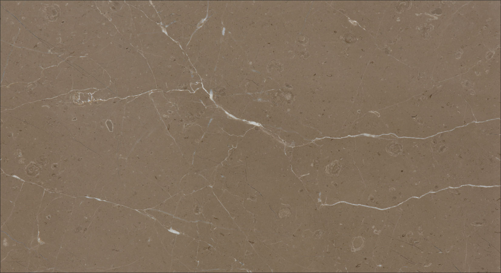 Armani Brown Marble | Exquisite Marble Collection - Stone Emporium